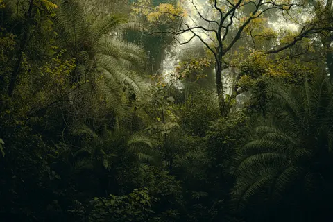 Orman Şelalesi 4K Duvar Kağıdı · waterfall · 3840×2560