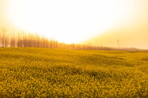 Countryside Field 4K Wallpaper · nature · 3840×2560