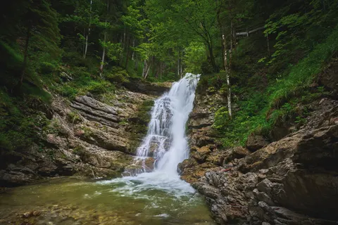 Forest Waterfall 4K Wallpaper · waterfall · 3840×2560
