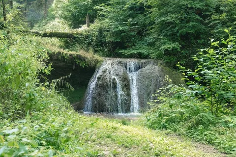 Forest Waterfall 4K Wallpaper · waterfall · 3840×2560