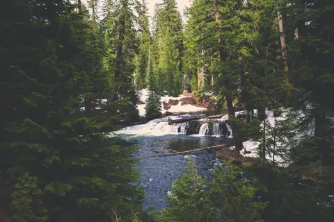 Forest Waterfall 4K Wallpaper · waterfall · 3840×2560