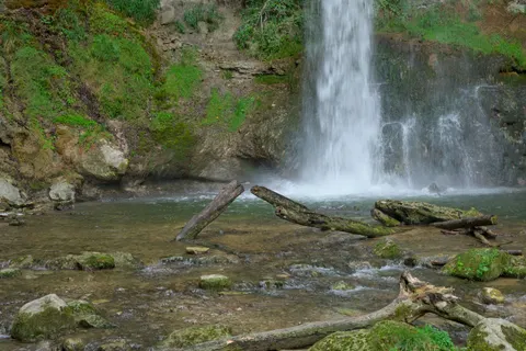 Forest Waterfall 4K Wallpaper · waterfall · 3840×2558