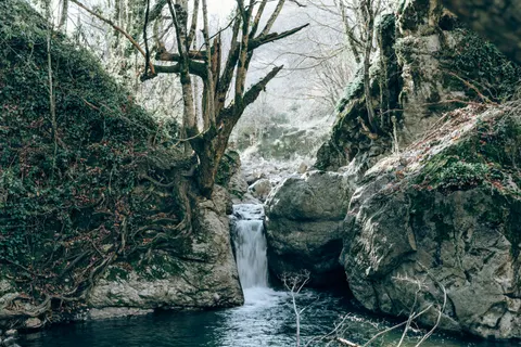 Forest Waterfall 4K Wallpaper · waterfall · 3840×2560