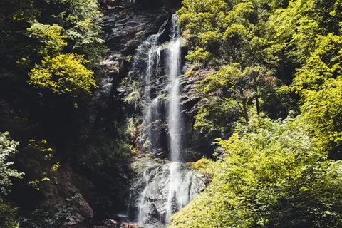 Forest Waterfall 4K Wallpaper · waterfall · 3840×2563