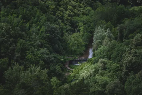 Forest Waterfall 4K Wallpaper · waterfall · 3840×2560