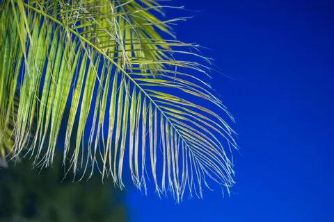 Tropical Paradise 4K Wallpaper · tropical · 3840×2560