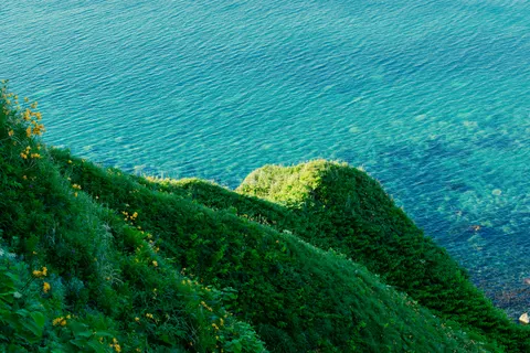 Tropical Island 4K Wallpaper · tropical · 3840×2560