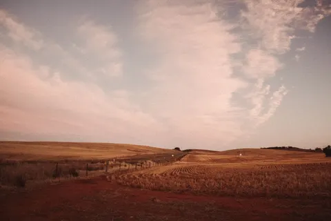 Ländliches Feld 4K Hintergrundbild · nature · 3840×2560