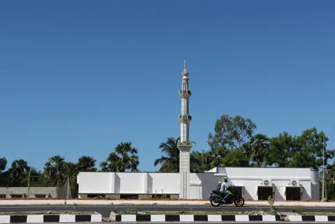 والپیپر درختان نخل با کیفیت 4K · tropical · 3840×2569