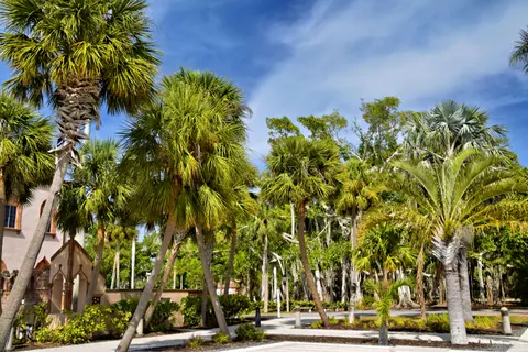 Palm Trees 4K Wallpaper · tropical · 3840×2560