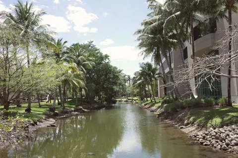 Palm Trees 4K Wallpaper · tropical · 3840×2560