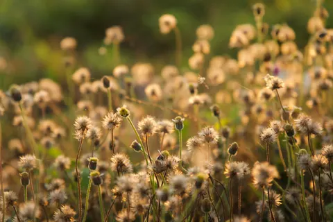 Countryside Field 4K Wallpaper · nature · 3840×2560