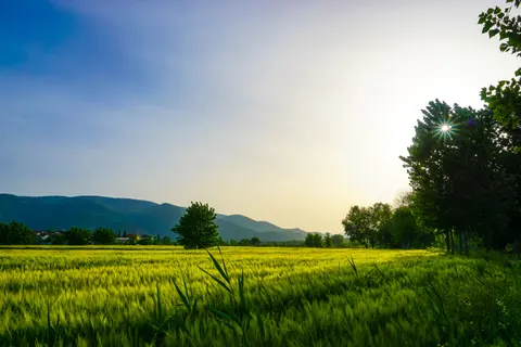乡村田野 4K壁纸 · nature · 3840×2560