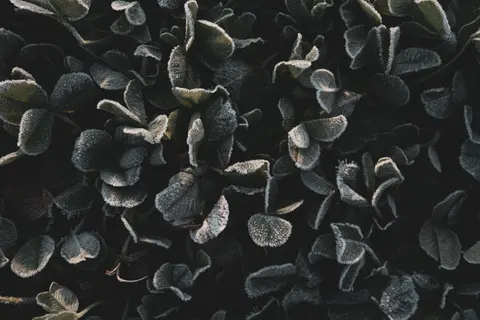 Dark Texture 4K Wallpaper · dark · 3840×2561