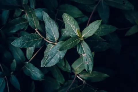Dark Texture 4K Wallpaper · dark · 3840×2560