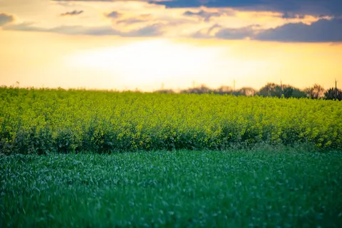 Countryside Field 4K Wallpaper · nature · 3840×2563