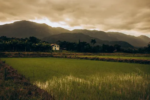Countryside Field 4K Wallpaper · nature · 3840×2560