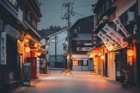 Neon Tokyo 4K Wallpaper · neon · 3840×2560