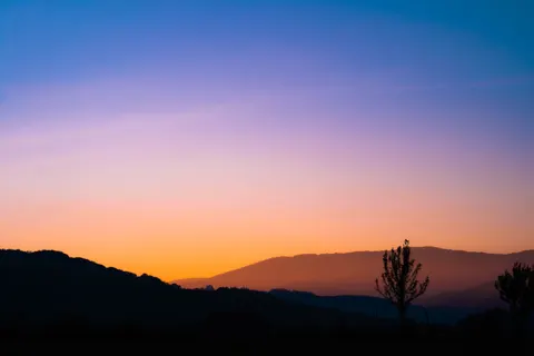 Sunset Silhouette 4K Wallpaper · sunset · 3840×2560