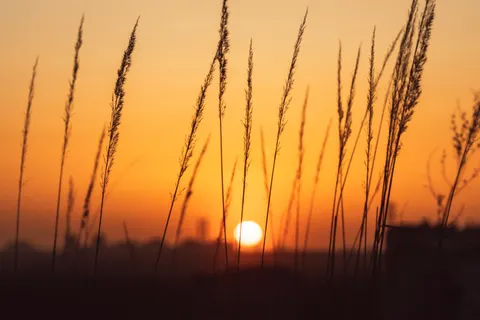 Обои Сельское поле 4K · nature · 3840×2560