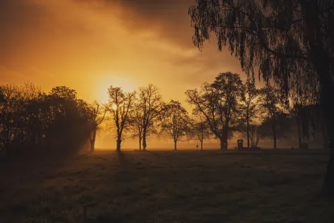 Sunset Silhouette 4K Wallpaper · sunset · 3840×2560