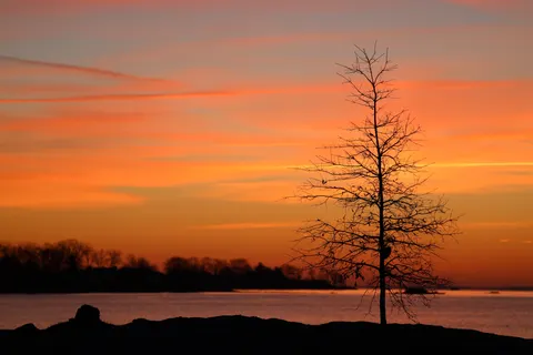 Sunset Silhouette 4K Wallpaper · sunset · 3840×2561