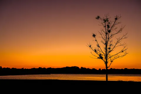 Sunset Silhouette 4K Wallpaper · sunset · 3840×2561