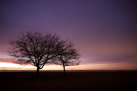 Papel de parede Silhueta ao pôr do sol 4K · sunset · 3840×2561