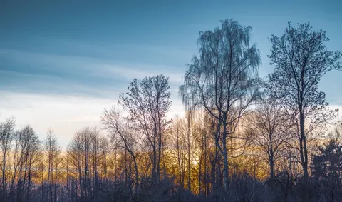 Sunset Silhouette 4K Wallpaper · sunset · 3840×2265