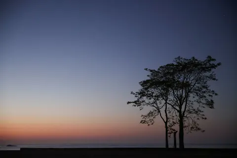Papel de parede Silhueta ao pôr do sol 4K · sunset · 3840×2561
