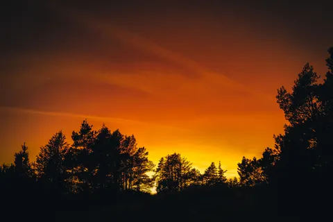 Sunset Silhouette 4K Wallpaper · sunset · 3840×2562