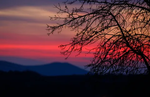 Sunset Silhouette 4K Wallpaper · sunset · 3840×2496