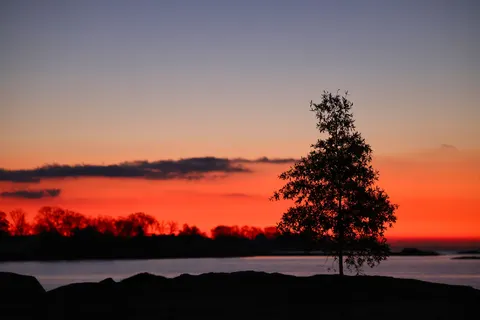 Sunset Silhouette 4K Wallpaper · sunset · 3840×2561