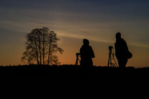 Sunset Silhouette 4K Wallpaper · sunset · 3840×2560