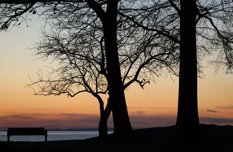 Sunset Silhouette 4K Wallpaper · sunset · 3840×2513