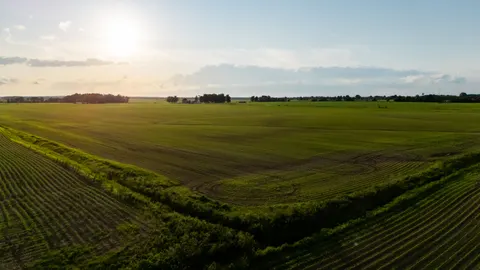 시골 들판 4K 배경화면 · nature · 3840×2160