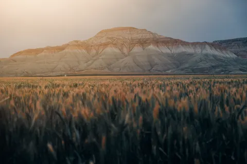Countryside Field 4K Wallpaper · nature · 3840×2560