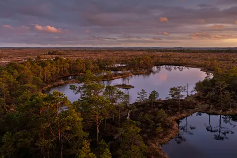 Aerial Forest 4K Wallpaper · aerial · 3840×2560