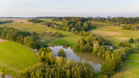 Aerial Forest 4K Wallpaper · aerial · 3840×2160