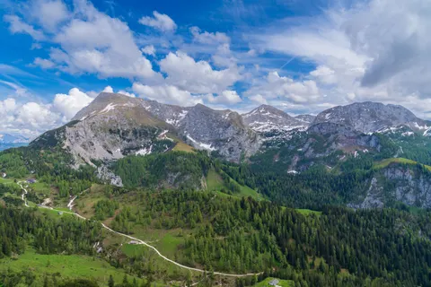 Aerial Forest 4K Wallpaper · aerial · 3840×2560