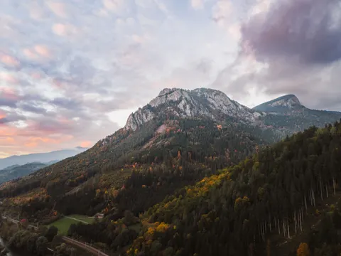 Aerial Forest 4K Wallpaper · aerial · 3840×2880