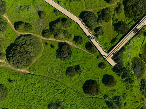 Aerial Forest 4K Wallpaper · aerial · 3840×2880