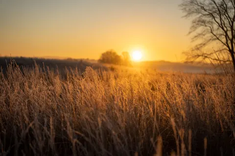 Countryside Field 4K Wallpaper · nature · 3840×2560