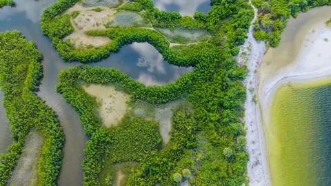 والپیپر نمای هوایی رودخانه با کیفیت 4K · aerial · 3840×2160