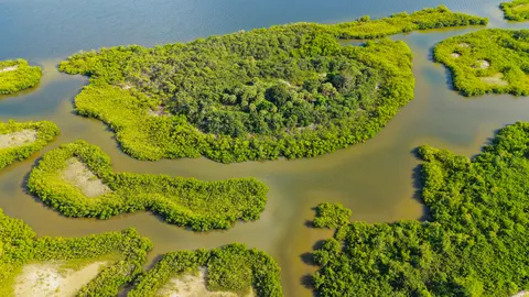 Aerial River 4K Wallpaper · aerial · 3840×2160