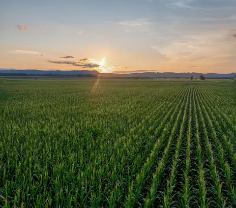 Countryside Field 4K Wallpaper · nature · 3840×3384