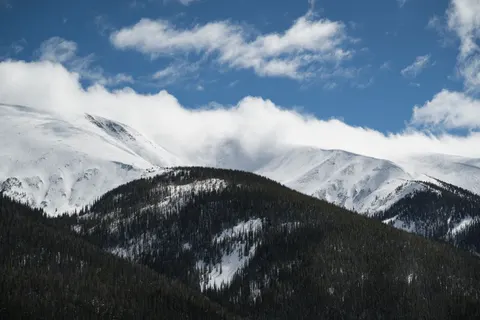والپیپر جنگل برفی با کیفیت 4K · winter · 3840×2563