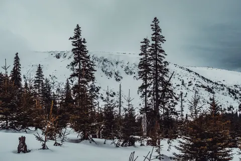 Winter Mountains 4K Wallpaper · winter · 3840×2560