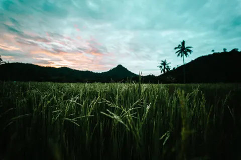 Ländliches Feld 4K Hintergrundbild · nature · 3840×2560