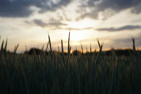 Countryside Field 4K Wallpaper · nature · 3840×2560